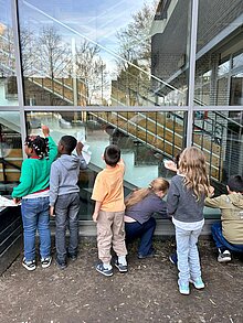 Foto die Pinguingruppe putzt ein Fenster